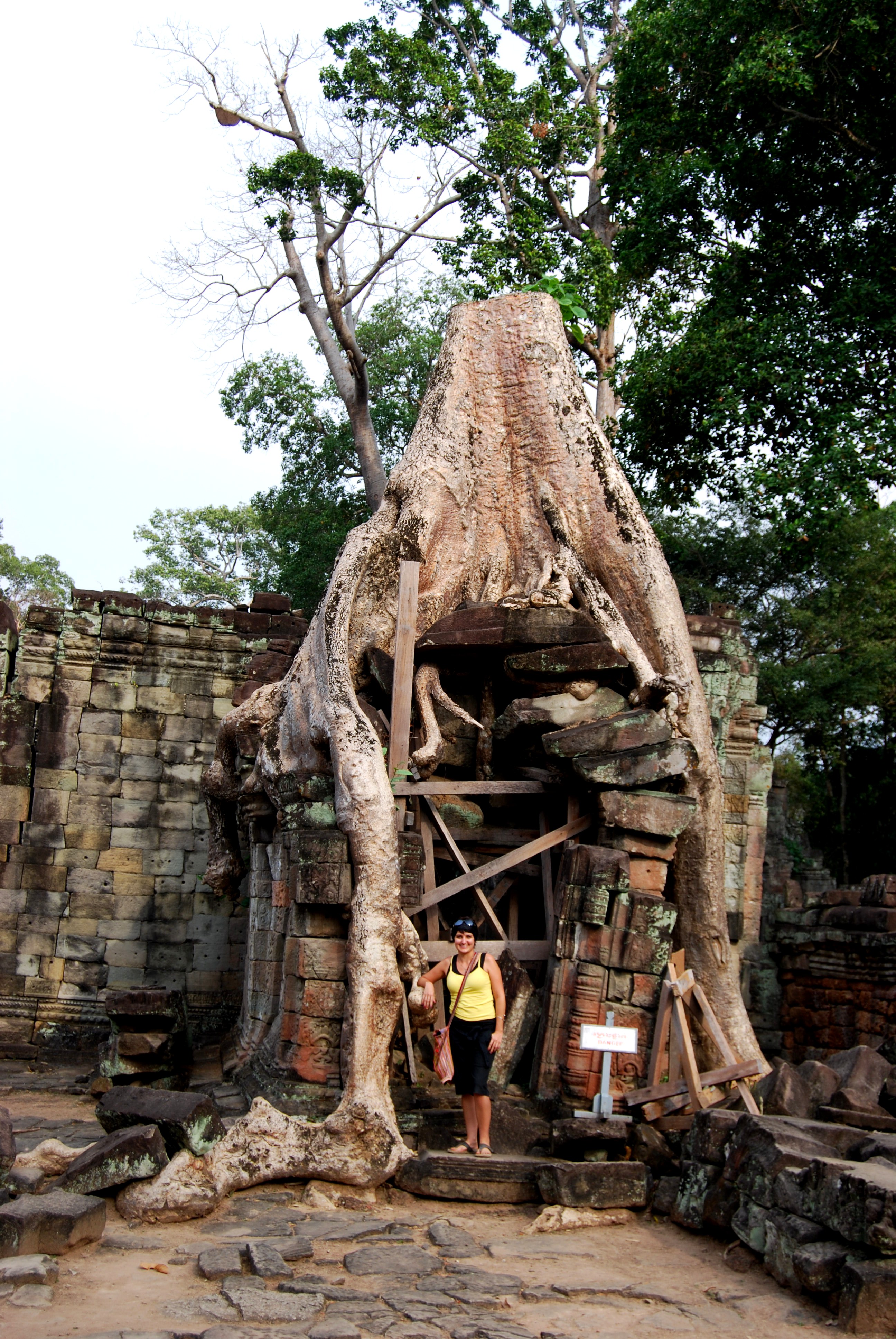The Jungle Reclaims Beng Melea Temple