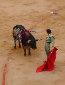 The Blood sport Bullfighting