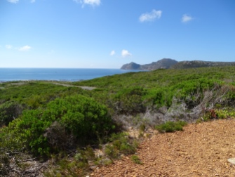 Cape Point Nature Reserve